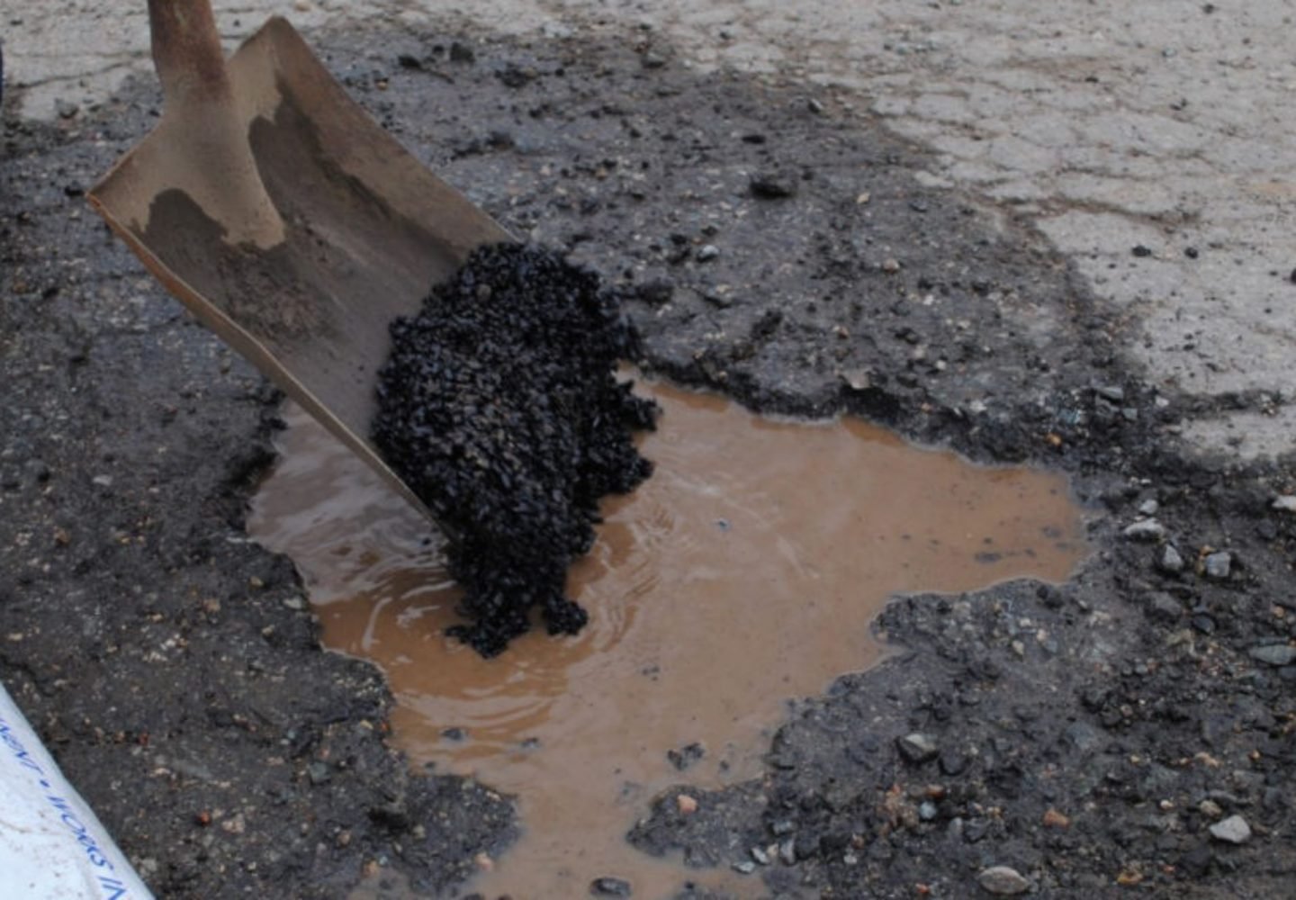 Untitled design (61)